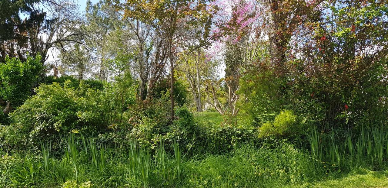 Holiday home Perigourdin La Picherie